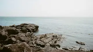 বর্ষার আগে ৯০০ কেন্দ্রে বাড়ল বন্যা আশ্রয়কেন্দ্রের নেটওয়ার্ক