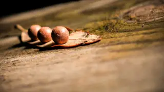বইমেলার বিক্রি ফিরল মহামারির আগের পর্যায়ে, পিছিয়ে কবিতা