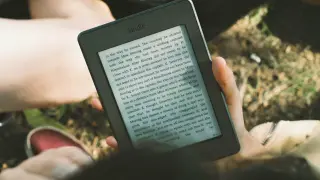 খাল দিয়ে জাহাজ চলাচল স্বাভাবিক হওয়ায় বিশ্বে জাহাজভাড়া কমল ১৮ শতাংশ