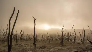 কর্মদিবসে রাত ১১টা পর্যন্ত চলবে মেট্রোরেল