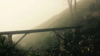 বাস রুট ফ্র্যাঞ্চাইজে যুক্ত প্রথম নয় করিডর, রং বদলাল ১১০০ বাস